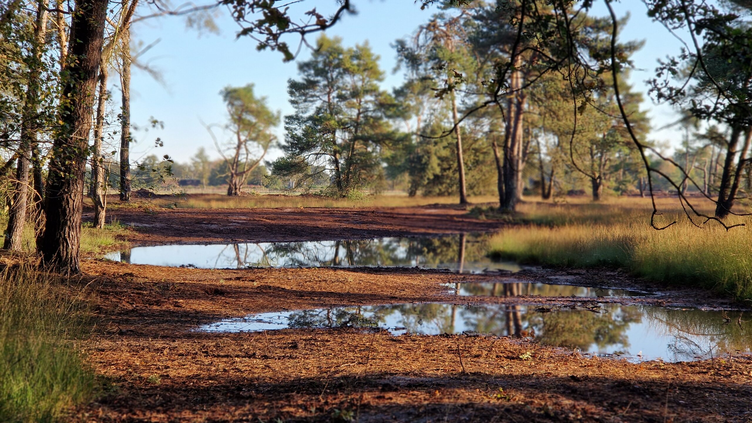 Natuurherstel N2000 Punthuizen en Stroothuizen