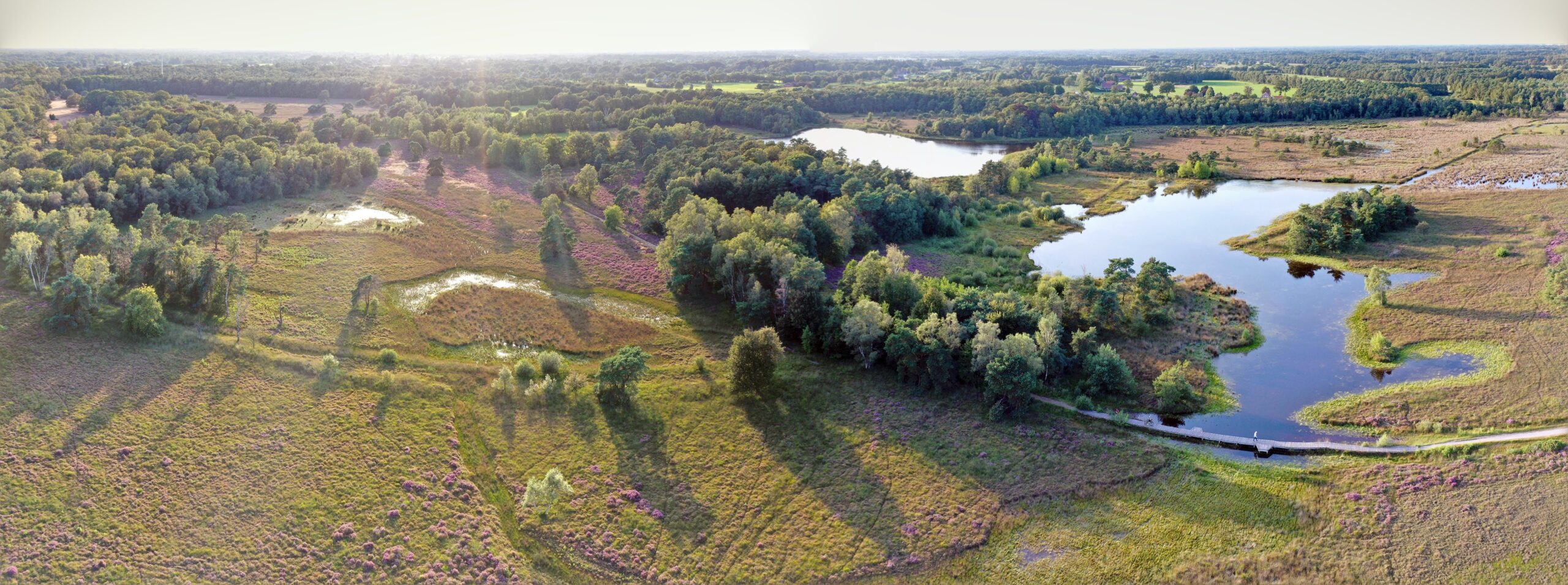 Natuurherstelmaatregelen N2000 Buurserzand, Horsterveen en Witteveen.